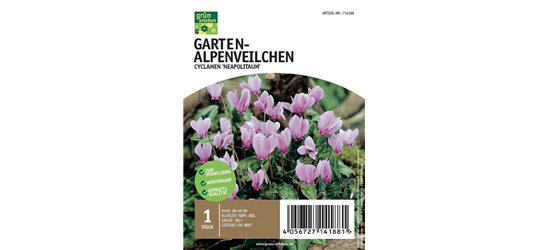 Garten-Alpenveilchen