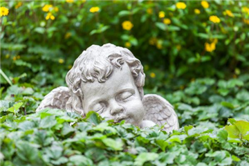 SCHöNER HERBSTLICHER GRABSCHMUCK!