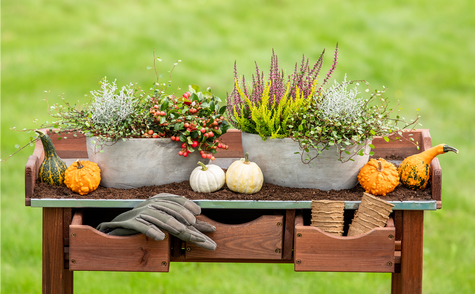 Das große Finale im Garten - Hallo Herbst