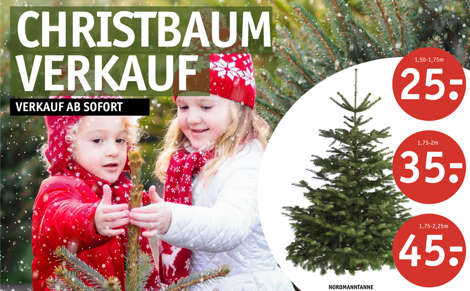 Nordmanntanne ab 25€ - Christbaumverkauf