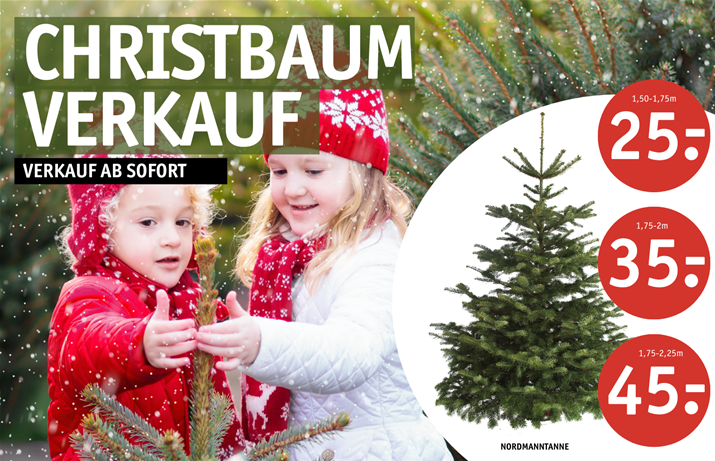 CHRISTBAUMVERKAUF 2025 Website (1540 x 991 px).png