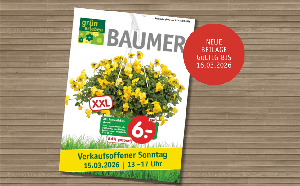 Unser erster Prospekt ist da! - Neue Angbote