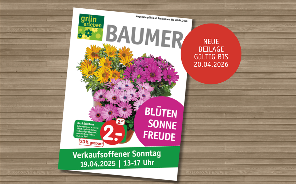 Tolle Pflanzen - tolle Preise - Unser neuer Prospekt ist da