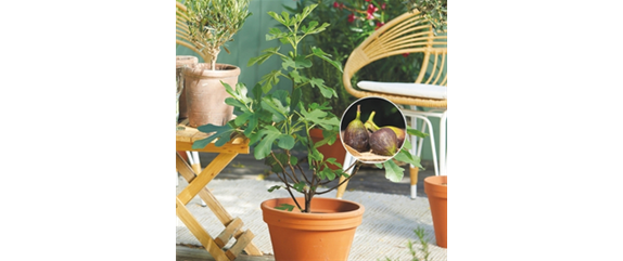 URLAUBSGEFÜHLE ZUHAUSE! 