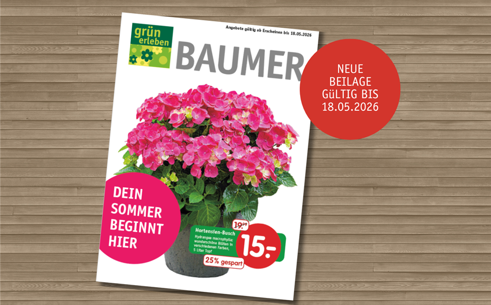 Dein Sommer beginnt hier - Neue Angebote im Prospekt