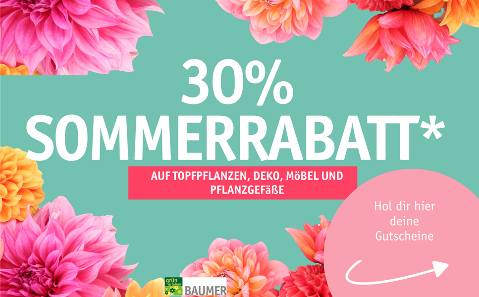 bis zu 30% auf einen Artikel - Sommerrabatt