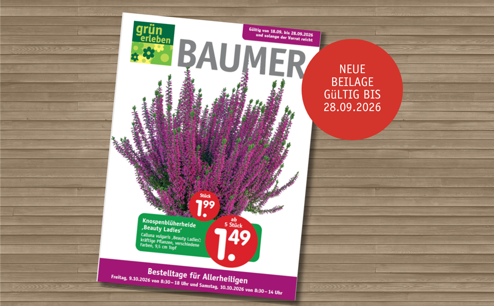 Bunte Angebote für den Herbst - Unser neuer Prospekt