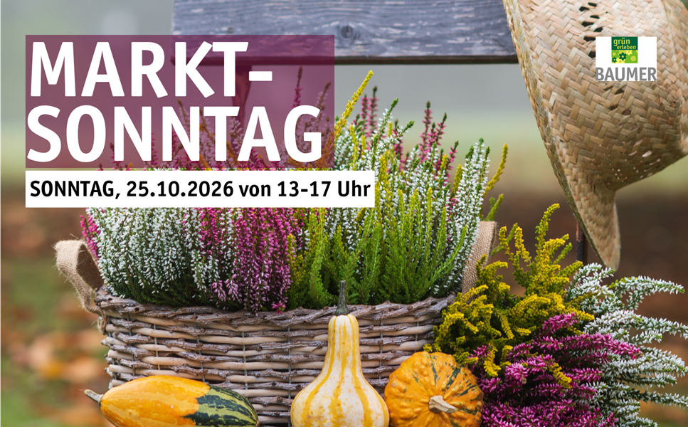 verkaufsoffen von 13-17 Uhr - Marktsonntag