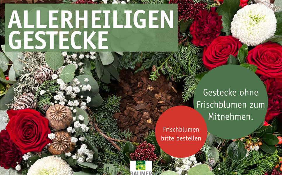 ab sofort - Allerheiligengestecke