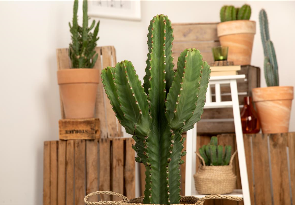 WIE GEHT... RAUMKLIMA? WIE GEHT... RAUMKLIMA?