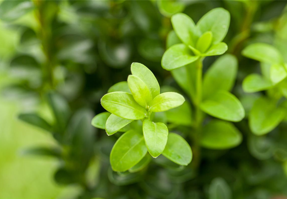 VON WEGEN LüCKENBüSSER! VON WEGEN LüCKENBüSSER!