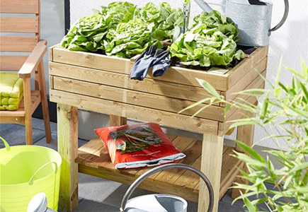 Kräuter und Gemüse