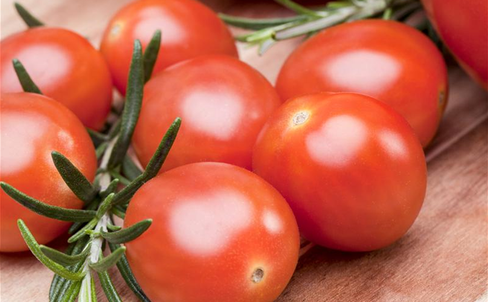 Kräuter und Gemüse - Leckereien aus dem Garten!