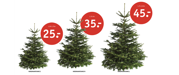 WIE GEHT...KÜRBIS FLORAL GESCHMÜCKT?