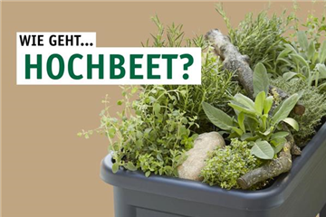 Wie geht...Hochbeet?