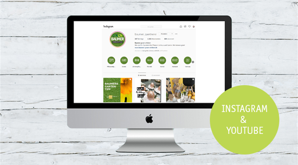 SOCIAL MEDIA - WERDE UNSER FAN!