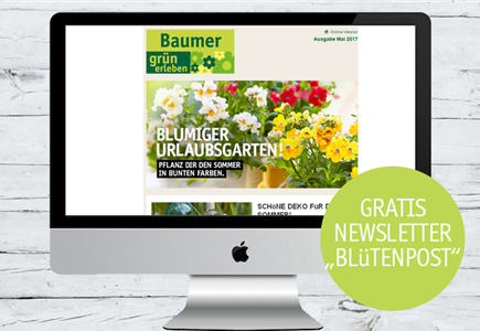 Blütenpost abonnieren