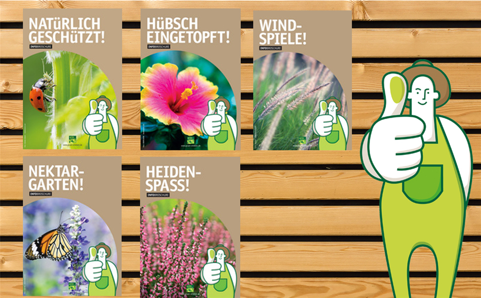 Beet und Balkon - Die richtige Pflege