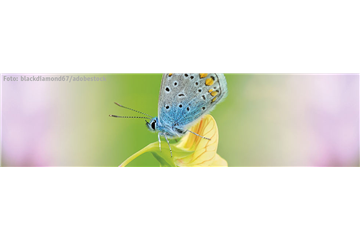 ALLES BIO, ODER WAS? 