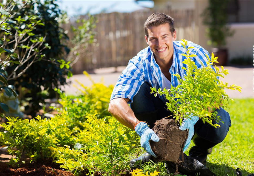 WäNDE FüR DAS GRüNE ZIMMER! WäNDE FüR DAS GRüNE ZIMMER!