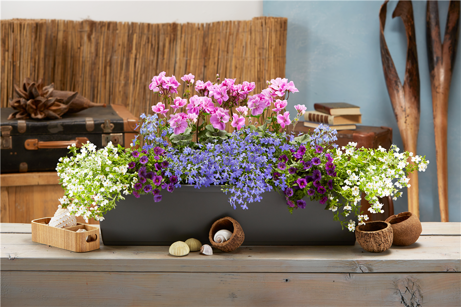 Baukasten Sommerblumen - Torffreie Samenbälle Aus Deutschland, Biologisch & Nachhaltig