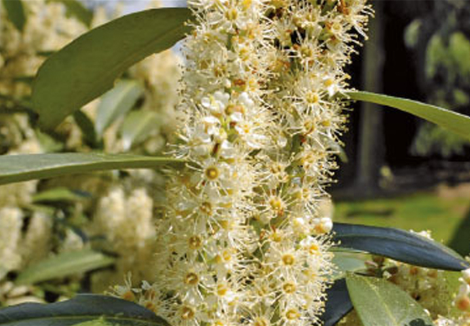 AB DURCH DIE HECKE!  AB DURCH DIE HECKE!