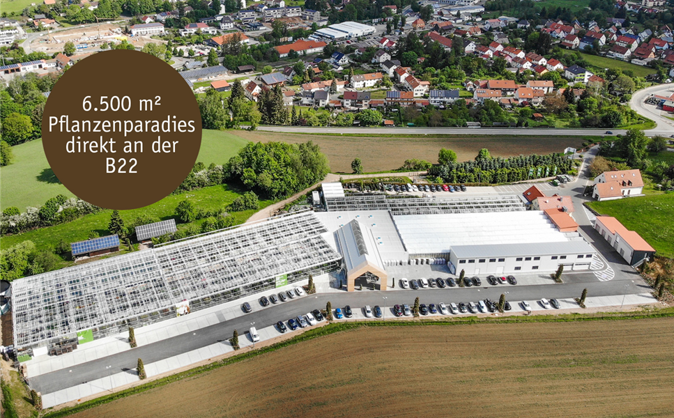 Baumer in Oberviechtach - Öffnungszeiten