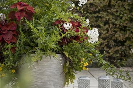 KüBEL WINTERFEST MACHEN