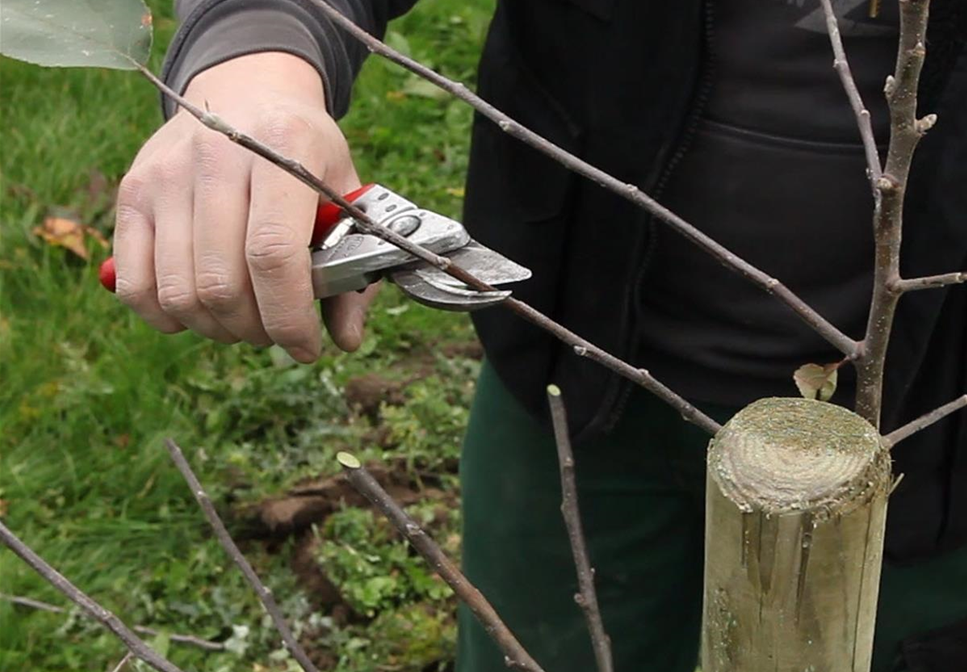 OKTOBER - JETZT GIBT ES NOCH MAL VIEL ZU TUN! OKTOBER - JETZT GIBT ES NOCH MAL VIEL ZU TUN!