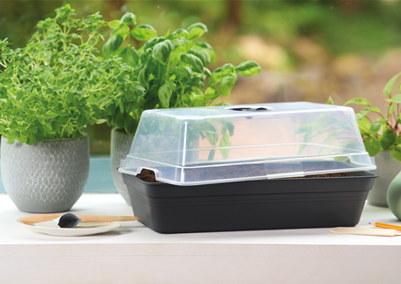 PLATZ DA AUF DER FENSTERBANK!