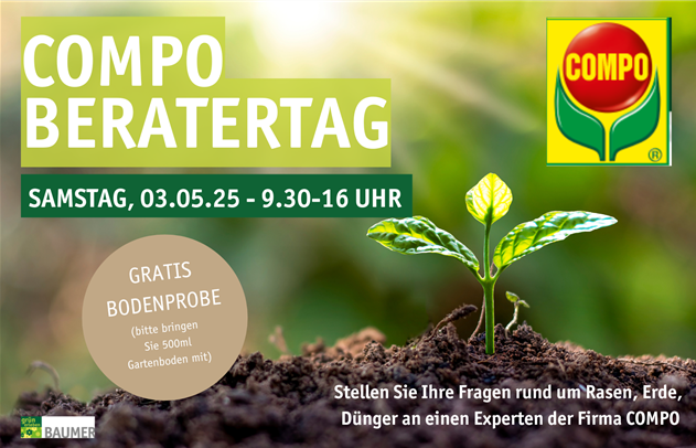 Beratertag compo Website.png